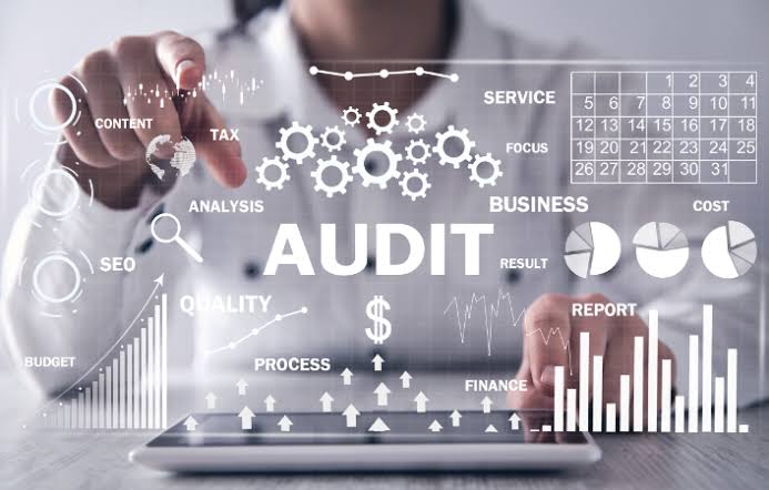 Income Tax Audit Assistance
